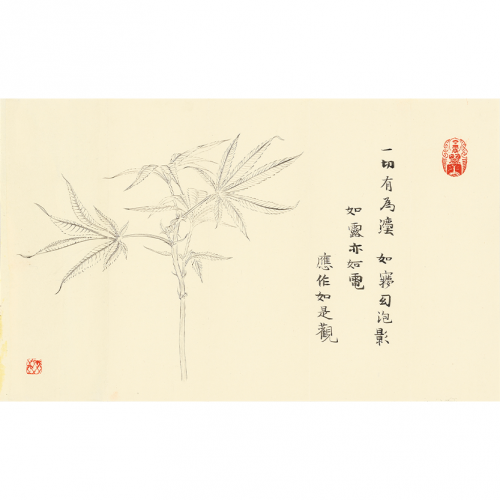 沈伯陽07