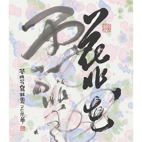 莊姐08