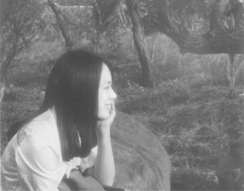 綻 胡瓊櫻 綻 胡瓊櫻