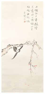 S__21569549